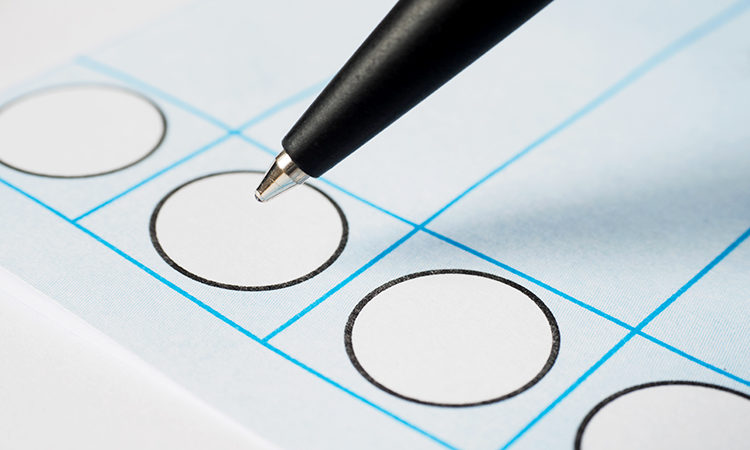 Voting paper or ballot paper with pen