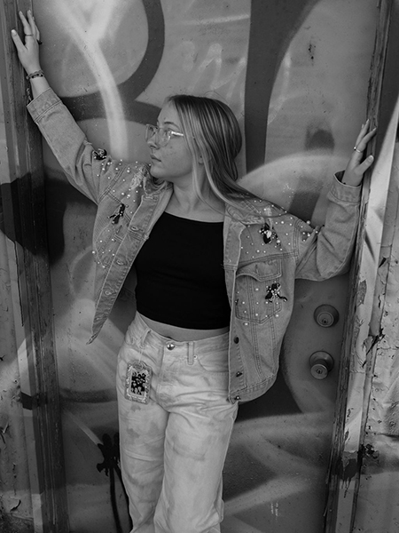 Palisade_surek_cropped
